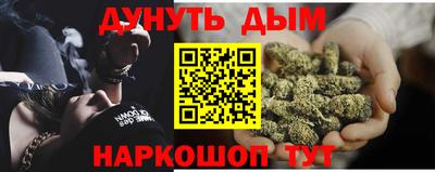 крисы Дубна