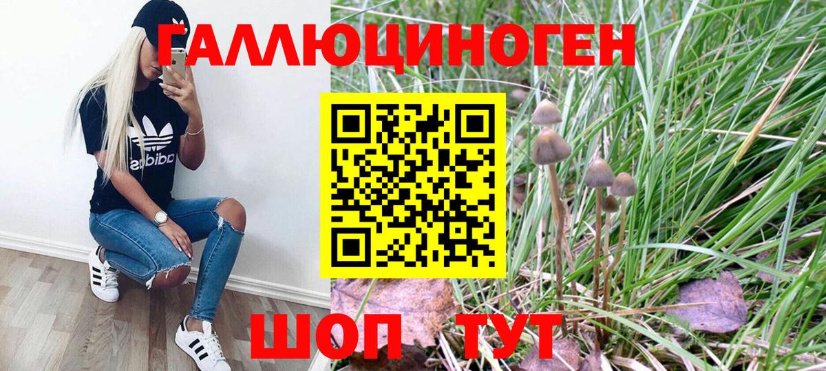 Псилоцибиновые грибы Magic Shrooms Новоалександровск