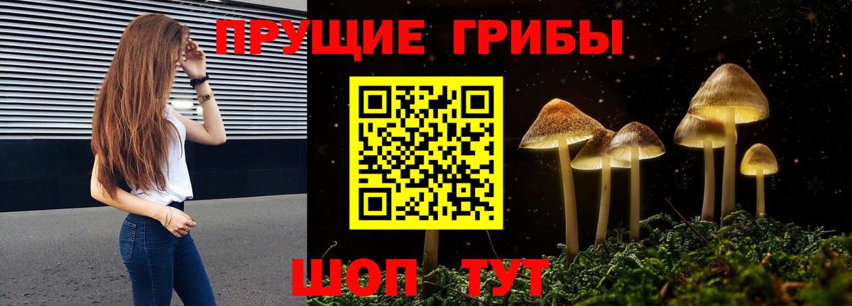 закладки  Вход с VPN  Новоалександровск  Галлюциногенные грибы прущие грибы 